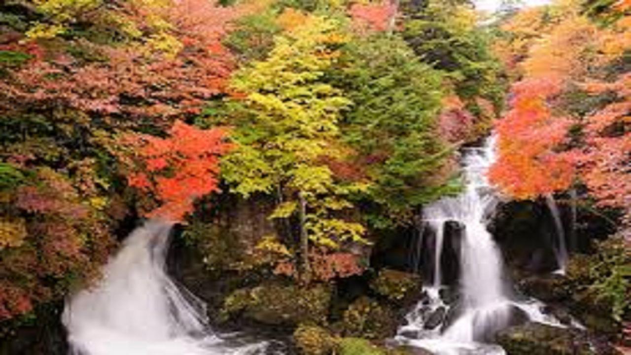 Natural Garden 3* Nikkō